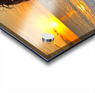 Beauty of Maui Acrylic print