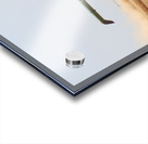 Wheat Harvest Acrylic print