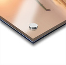 Wheat Havest Sundown Acrylic print