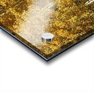 IMG 9899 Acrylic print