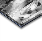 IMG 4696 Acrylic print