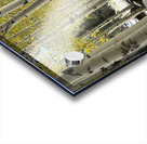 IMG 9854 Acrylic print