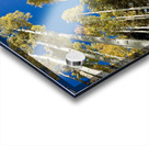 IMG 9874 Acrylic print