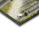 Aspens in Flagstaff Acrylic print