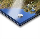 IMG 9898 Acrylic print