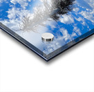 Forest of the dead Acrylic print