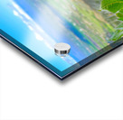 Balsam Root featuring the Kittitas Valley backround Acrylic print