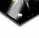 Bird of Paradise Acrylic print