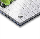 Orchid Acrylic print