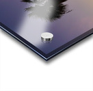 Afterglow Palm Acrylic print