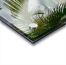 Oahu through the Palms Acrylic print