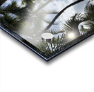 Oahu Beach Acrylic print