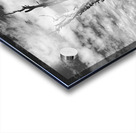 Wenatchee Overlook - black and white Acrylic print