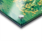 Balsam Root Acrylic print