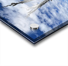 Wentachee Overlook - color Acrylic print