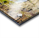 Frenchman coulee falls Acrylic print