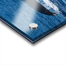 DSC09148 Acrylic print