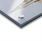 IMG 3371 Acrylic print