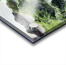 IMG 0839 Acrylic print