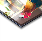 IMG 1103 Copy Acrylic print