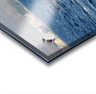 IMG 3392 Acrylic print