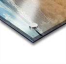 IMG 1038 Acrylic print