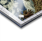 IMG 1053 jpg Acrylic print