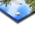 Pool Day Acrylic print