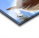 Hay Girl  Acrylic print