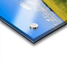 Country Road Acrylic print