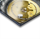 IMG 1442 Acrylic print