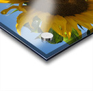 Sunflower Love Acrylic print