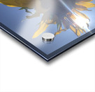 Sunflower and Sunlight Acrylic print