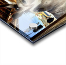 Miss Pickles Acrylic print