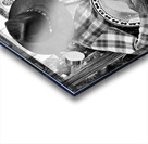 The Entertainer- Moab Utah Acrylic print