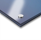 Baja Brown Pelicans- 3 Acrylic print