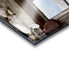 Ghost town Nelson Nevada Acrylic print