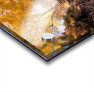 Autumn’s quiet retreat Acrylic print