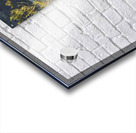 Big Horn Sheep in the golden hour Acrylic print