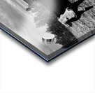 Outstanding in her field Acrylic print