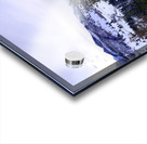 Winter in Washington Acrylic print