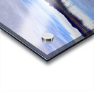 Alamo Lake Arizona -2 Acrylic print