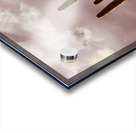 Sunlit Saguaro Acrylic print