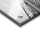 Leading Lines Acrylic print