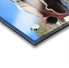 Desoto Acrylic print