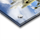 Old Man Saguaro Acrylic print