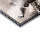 Oatman Donkey - Sepia tone Acrylic print