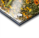 Happy little wildflowers Acrylic print