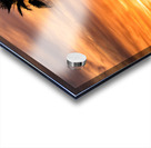 Topock Marsh Sunset Acrylic print