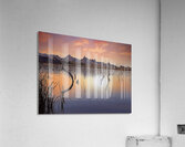 Catfish Paradise  Acrylic Print